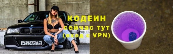 крисы Армянск