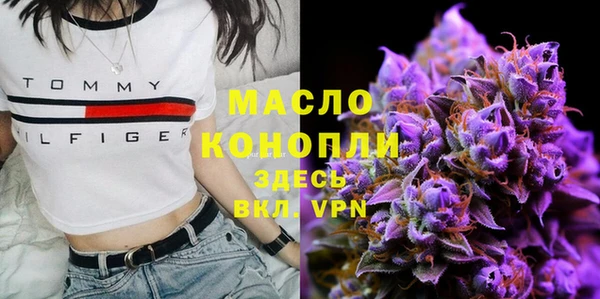 крисы Армянск