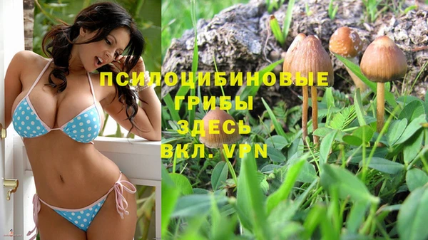 apvp Арсеньев