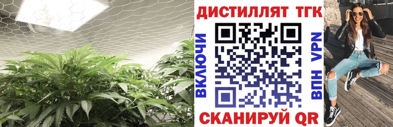 OMG рабочий сайт Дорогобуж Дистиллят ТГК Wax