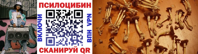 Галлюциногенные грибы Psilocybine cubensis  Дорогобуж 